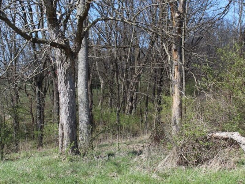 2128 Kentucky 1743 HWY, Cynthiana, KY 41031 Photo 7