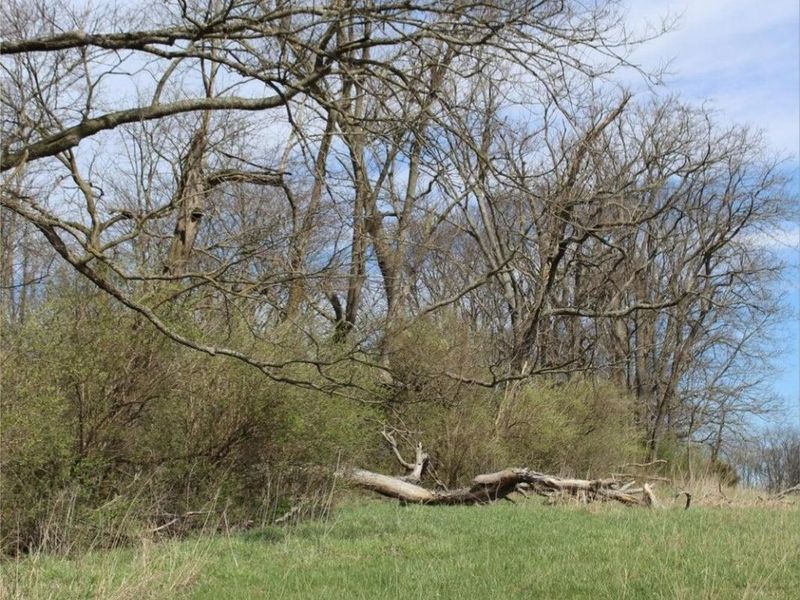 2128 Kentucky 1743 HWY, Cynthiana, KY 41031 Photo 8
