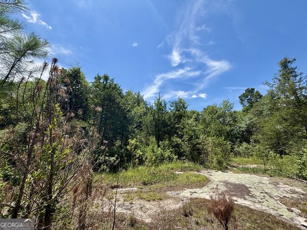 14.21 ACRES NW Irwin Bridge Road, Conyers, GA 30012