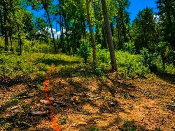 0 Dell Moore, Lot 3 Road, Marble Hill, GA 30148