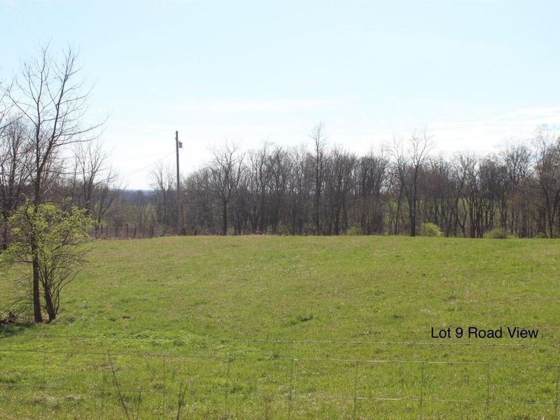 1802 Poindexter Road, Cynthiana, KY 41031 Photo 3