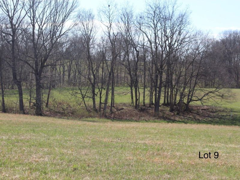 1802 Poindexter Road, Cynthiana, KY 41031 Photo 4