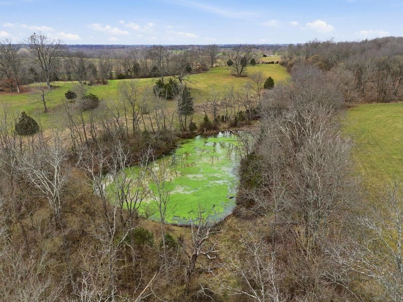 1802 Poindexter Road, Cynthiana, KY 41031 Photo 5