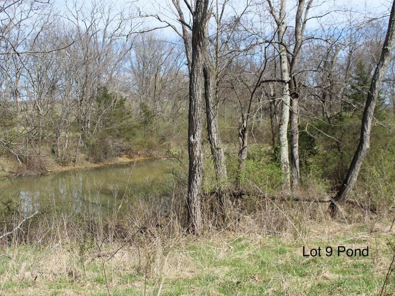 1802 Poindexter Road, Cynthiana, KY 41031 Photo 7