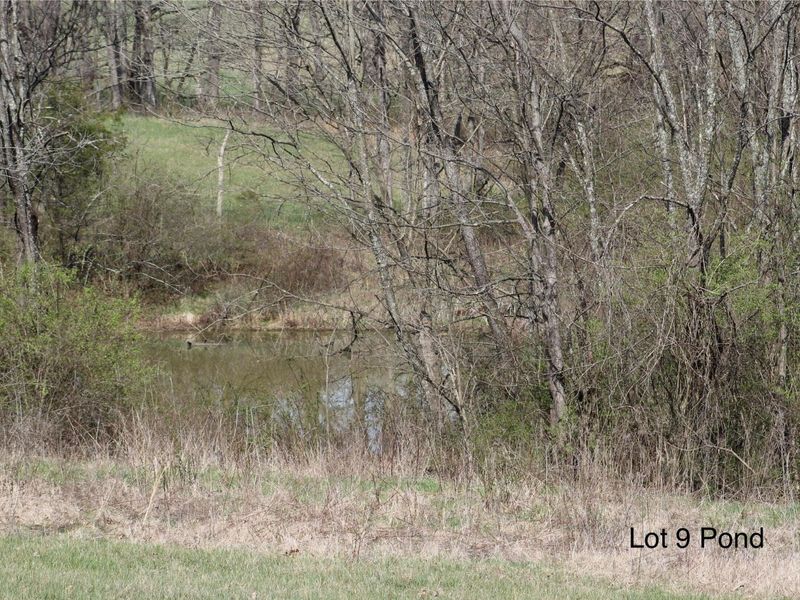 1802 Poindexter Road, Cynthiana, KY 41031 Photo 8