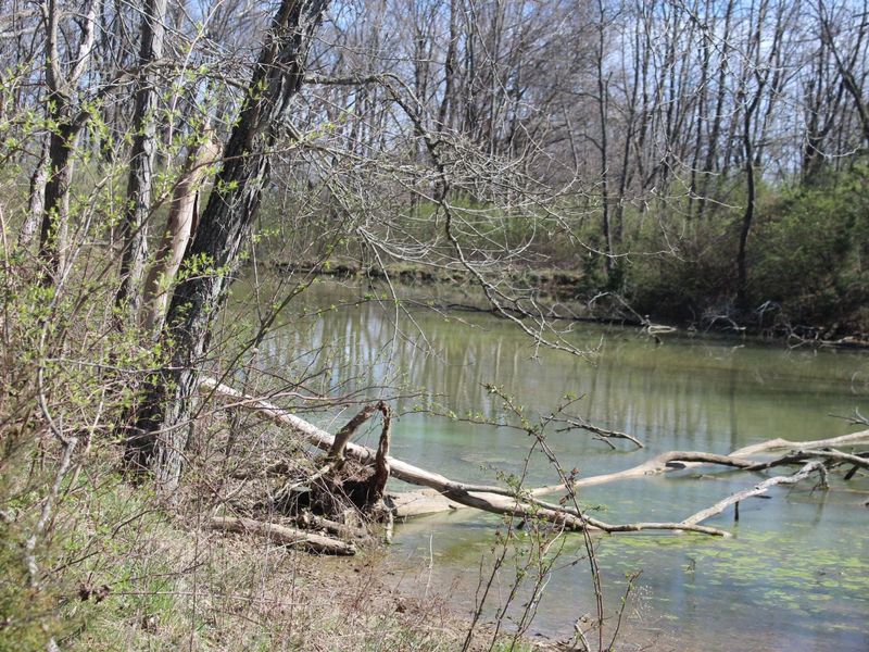 1802 Poindexter Road, Cynthiana, KY 41031 Photo 9