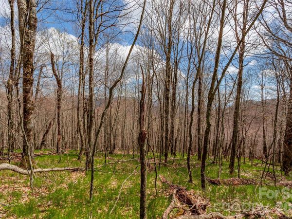 lots 4,5 & 7 Mule Trail Drive , Bakersville, NC 28705