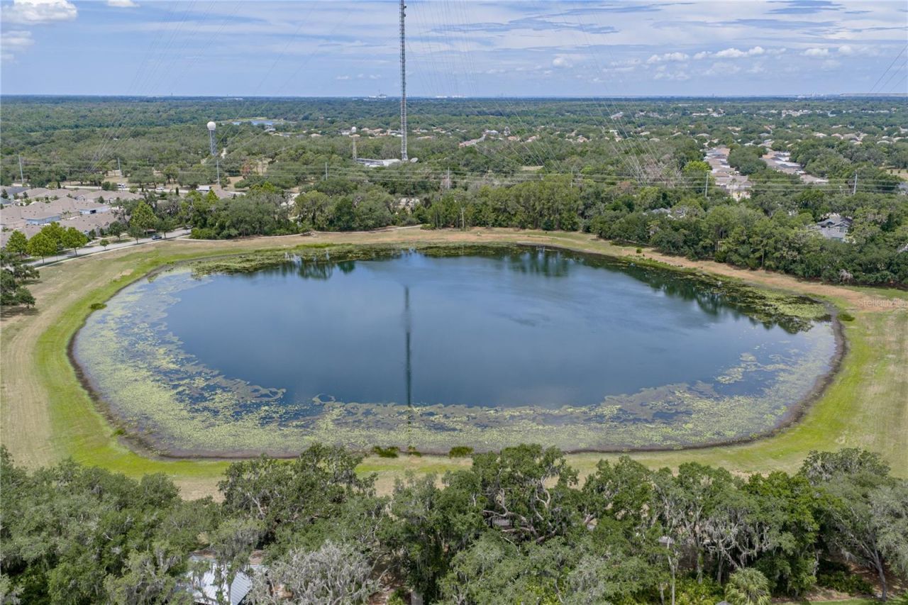 5904 Shell Ridge Drive , Lithia, FL 33547 Photo