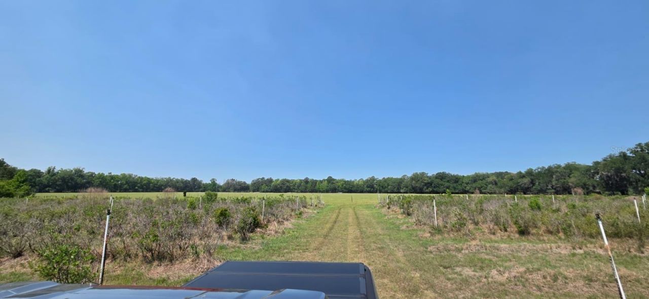 10434 SE 225th Drive , Hawthorne, FL 32640 Photo