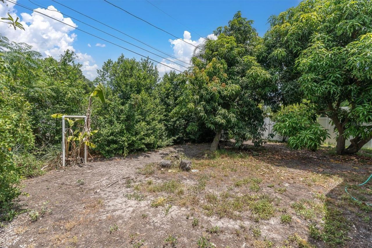 3443 21st Street N, Saint Petersburg, FL 33713 Photo