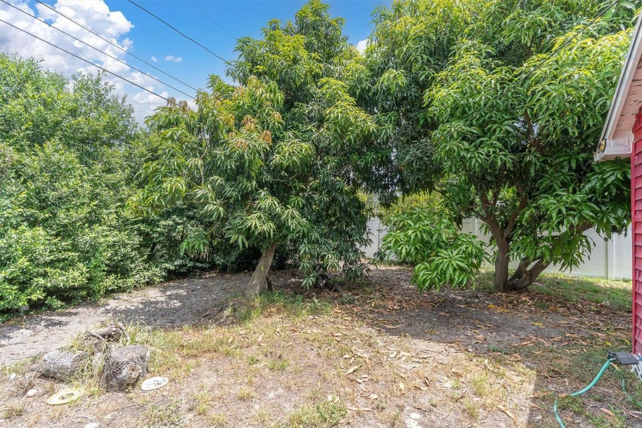 3443 21st Street N, Saint Petersburg, FL 33713 Photo