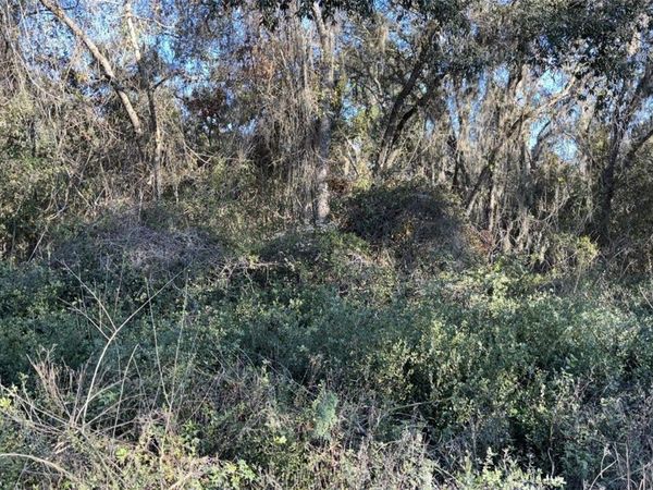 0 BOUNTY/BARRETT , NEW PORT RICHEY, FL 34654