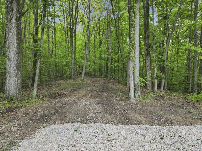 18000 Thompson Road, Laurelville, OH 43135 Photo 7