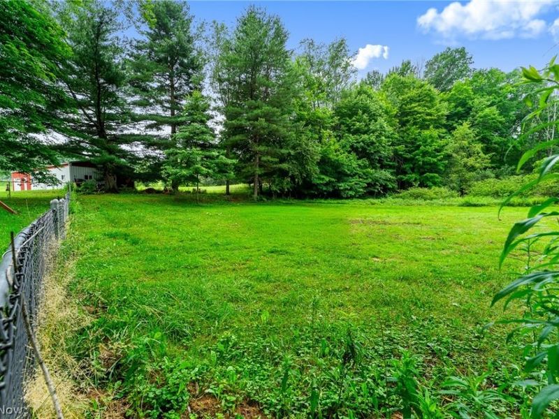 6235 Homeworth Road, Homeworth, OH 44634 Photo 28