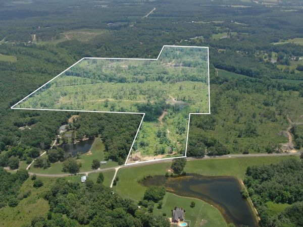 Co Rd 176, Guntown, MS 38849