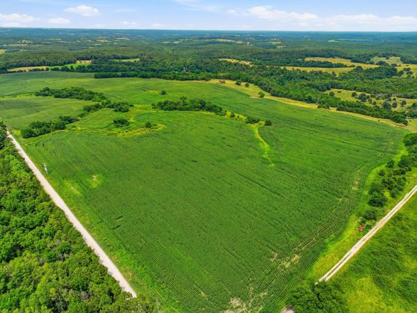 000 Gravel Point Road, Mountain Grove, MO 65711