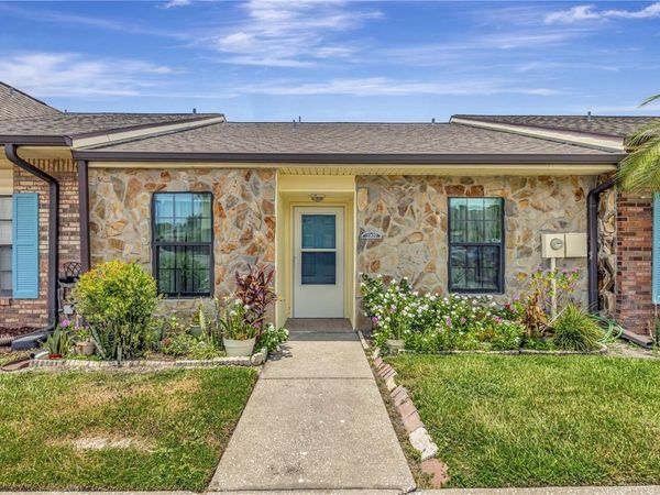 3909 CARROLL CYPRESS COURT , TAMPA, FL 33614