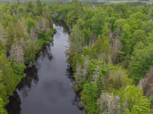 14 Acress off Bobs Creek Truck Trail, Forsyth Twp, MI 49841