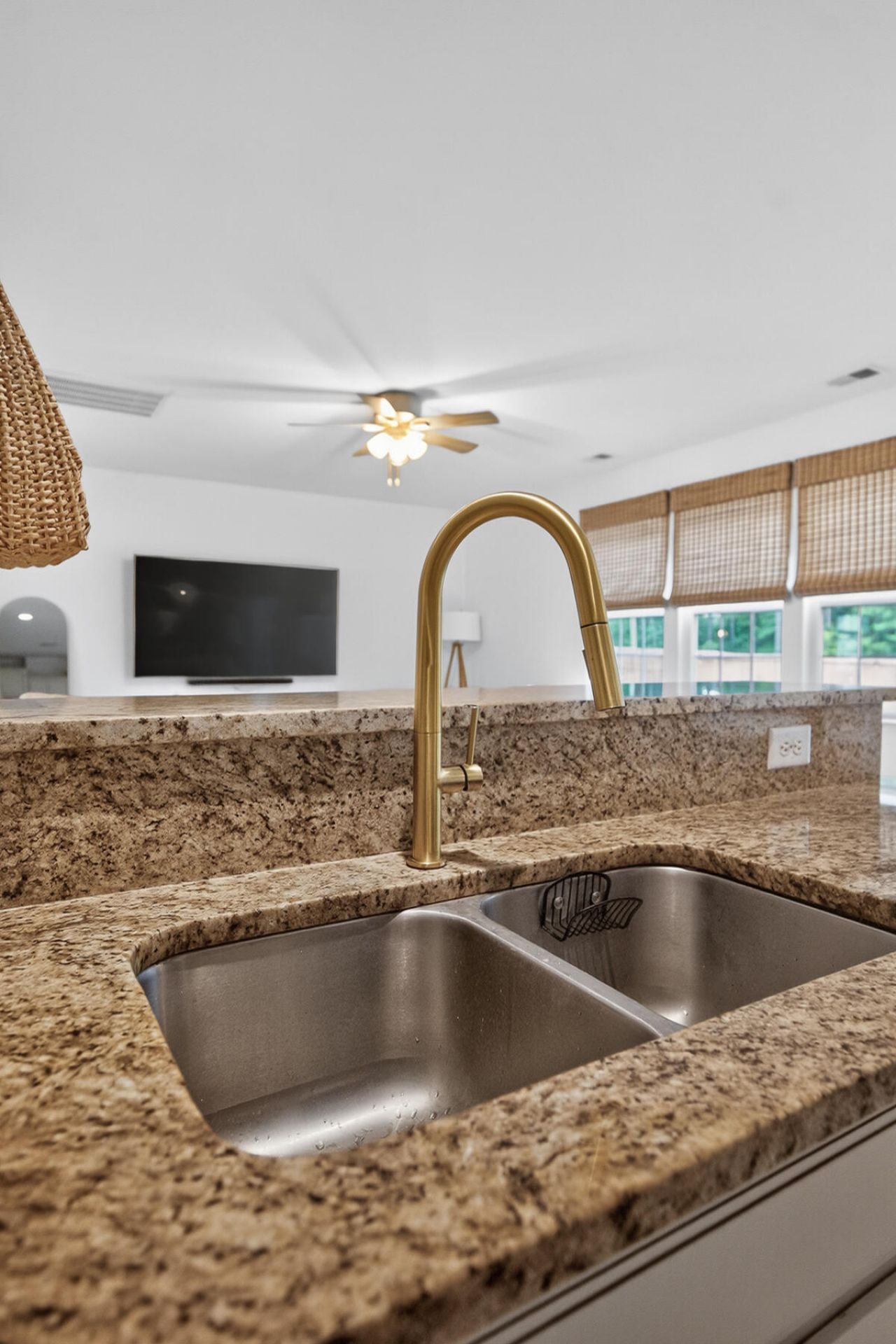 677 Silver Moss Drive Photo 27