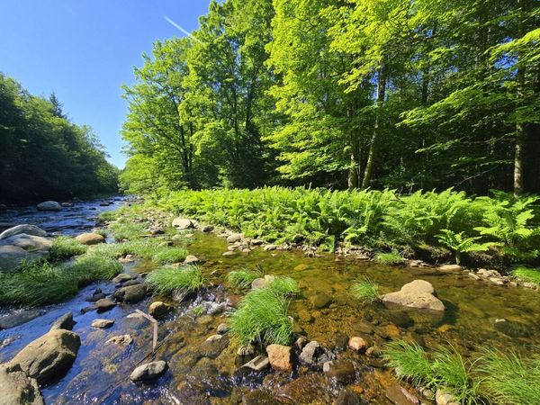 Lot 67-C Temple Road , Temple, ME 04984