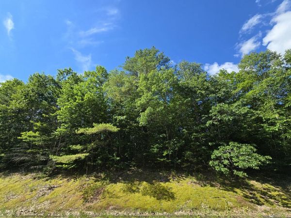 Lot 67-A Temple Road , Temple, ME 04984