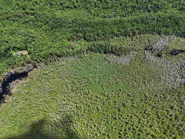 905 Gideons Mill Road, Brighton, VT 05846