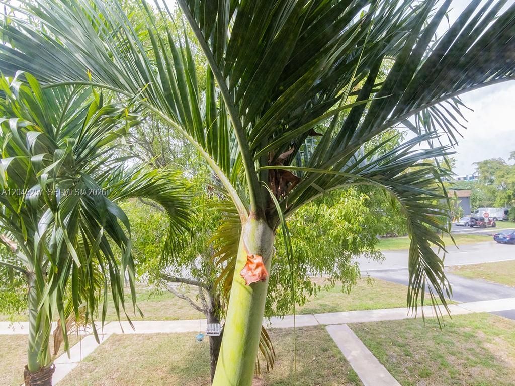 4648 NW 9th Dr , Unit 4648, Plantation, FL 33317 Photo