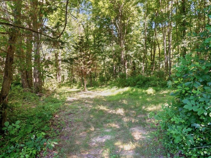 6650 Simons Lane, Goshen Twp, OH 45140 Photo 70