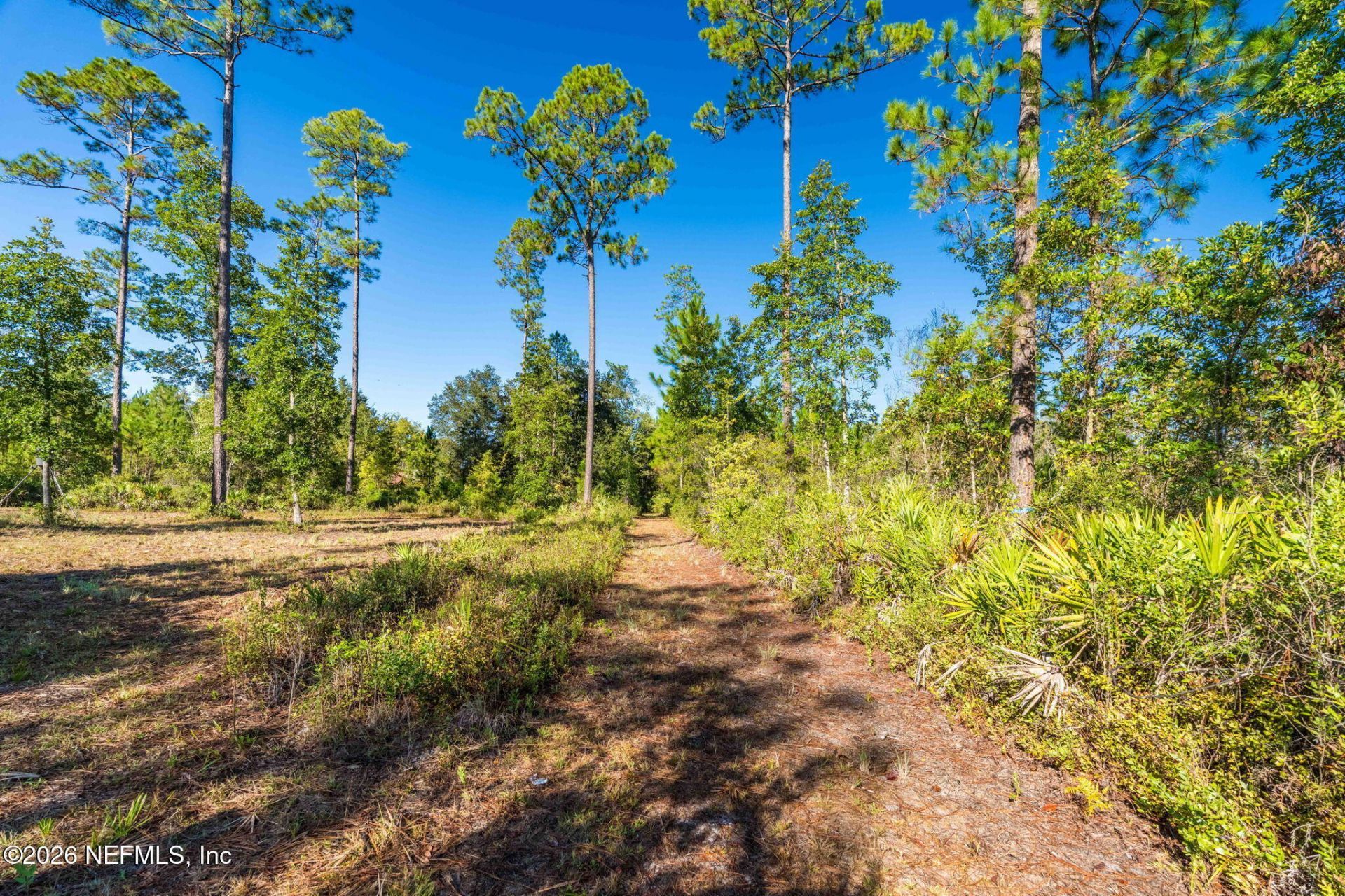 2411 Us Highway 301, Jacksonville, FL 32234 Photo