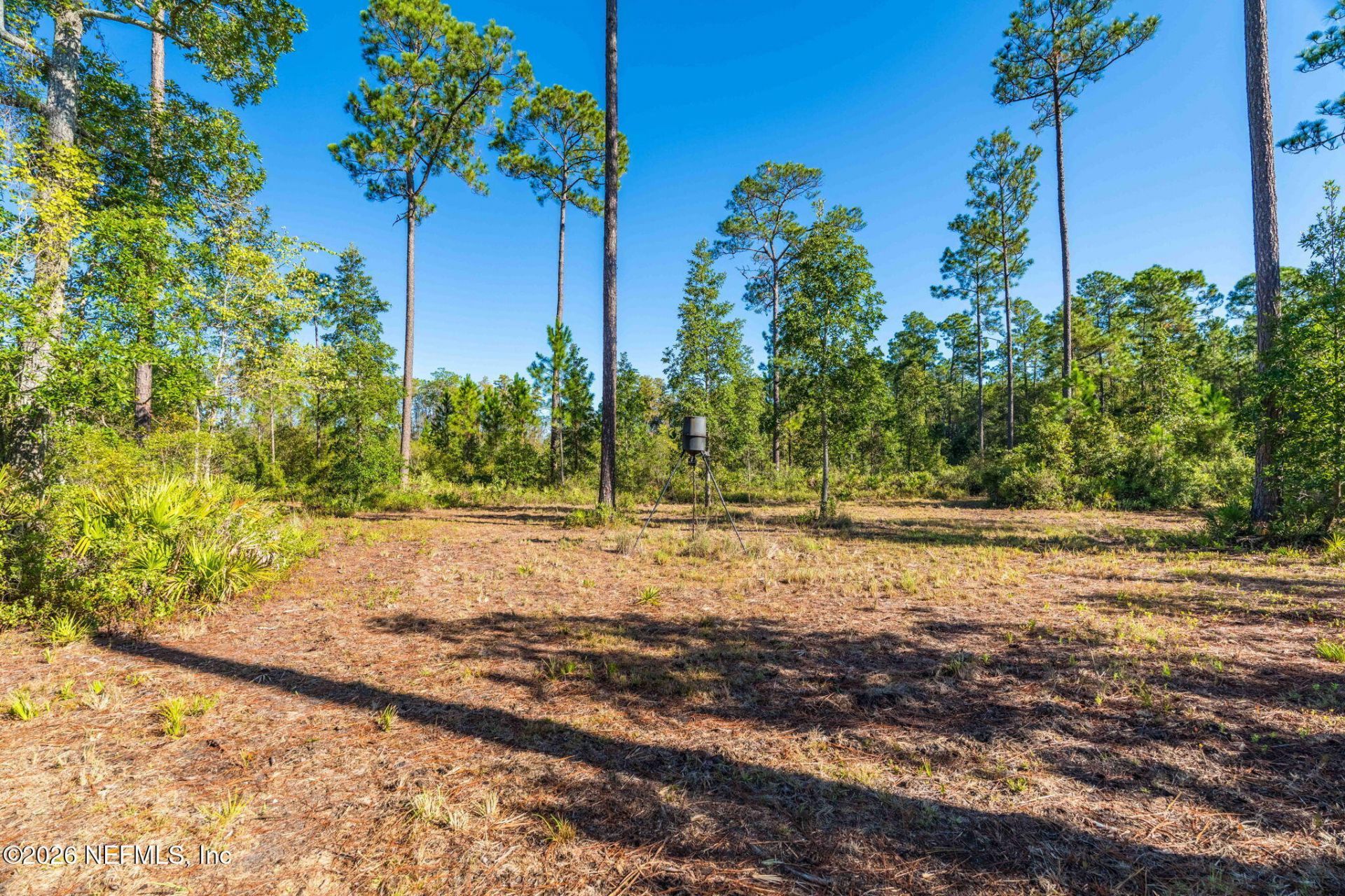 2411 Us Highway 301, Jacksonville, FL 32234 Photo