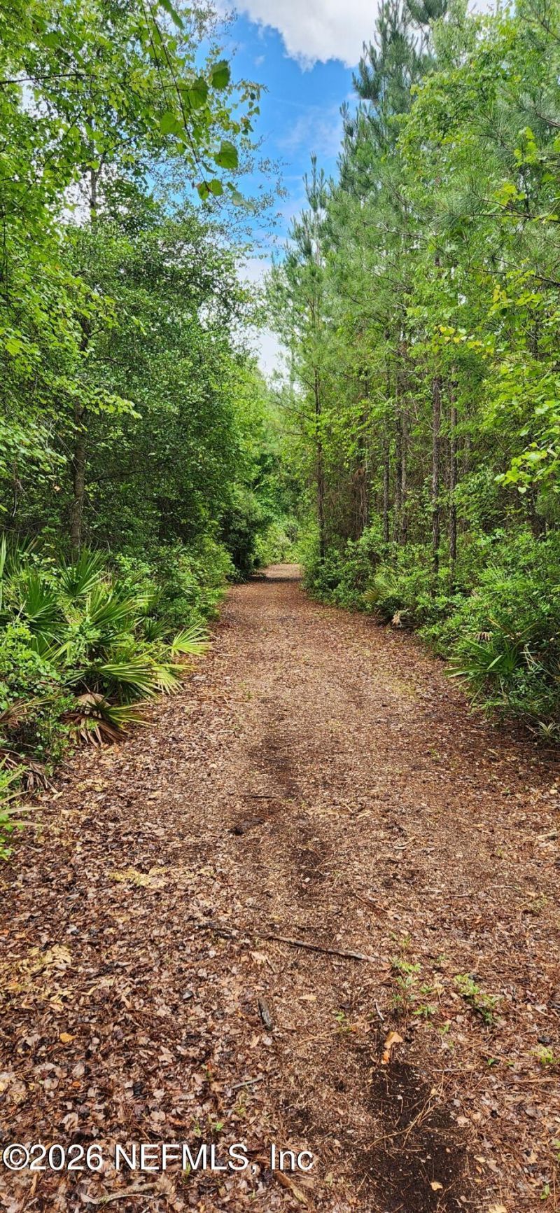 2411 Us Highway 301, Jacksonville, FL 32234 Photo