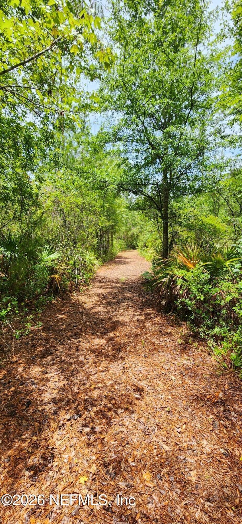 2411 Us Highway 301, Jacksonville, FL 32234 Photo
