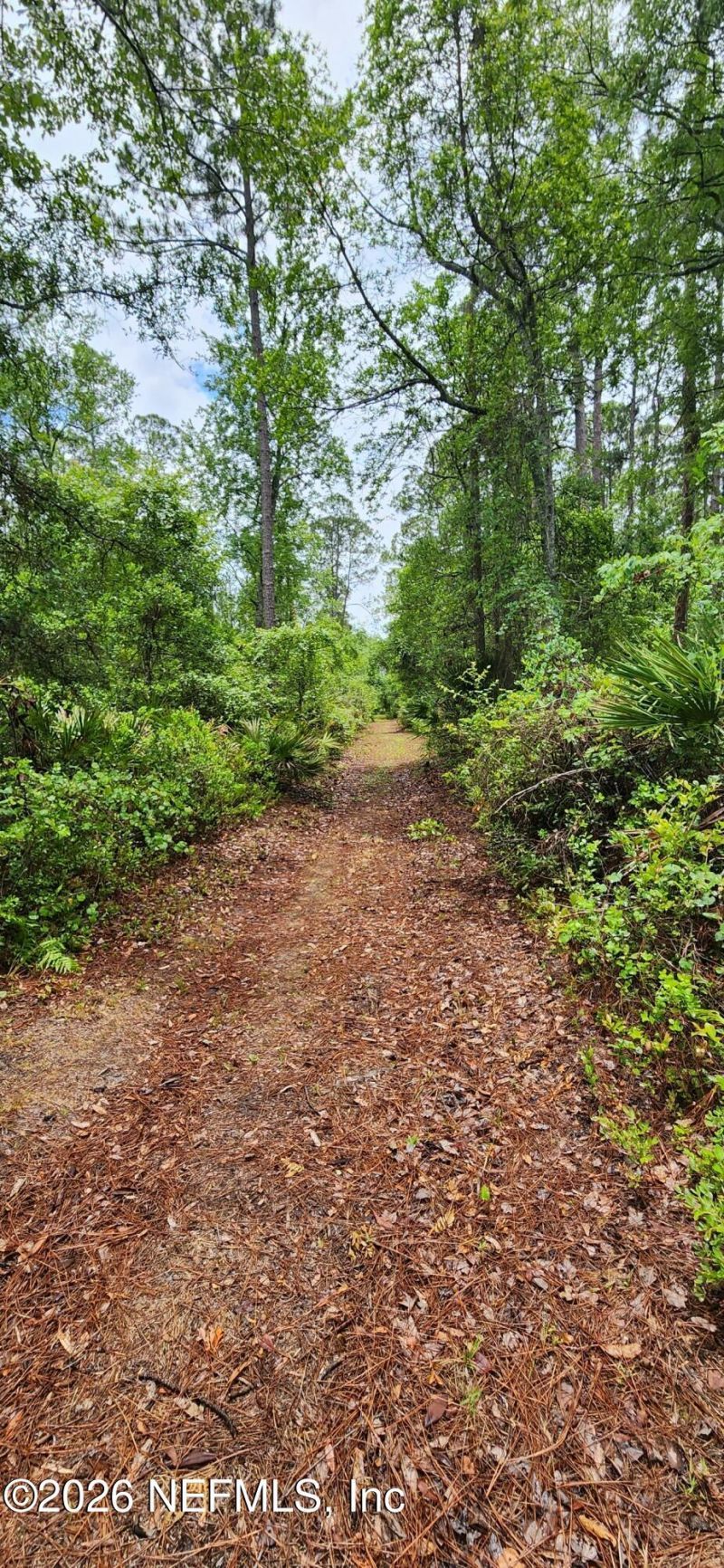 2411 Us Highway 301, Jacksonville, FL 32234 Photo