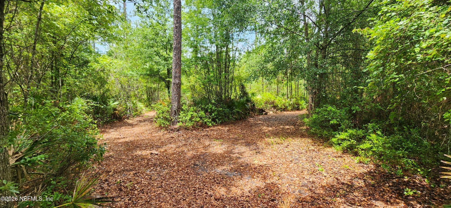 2411 Us Highway 301, Jacksonville, FL 32234 Photo