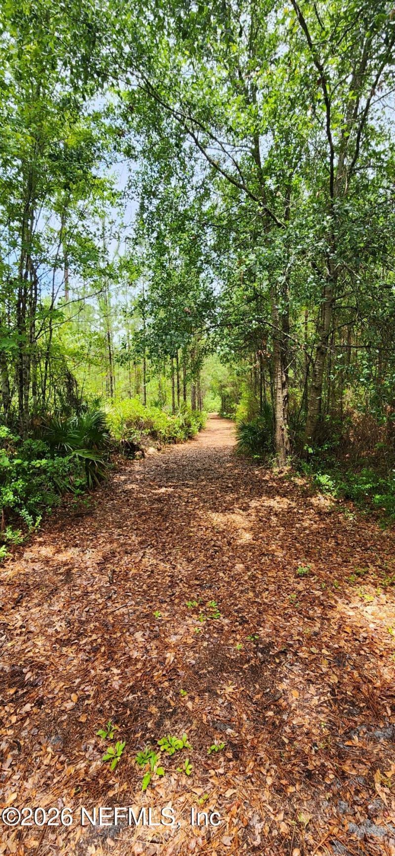 2411 Us Highway 301, Jacksonville, FL 32234 Photo