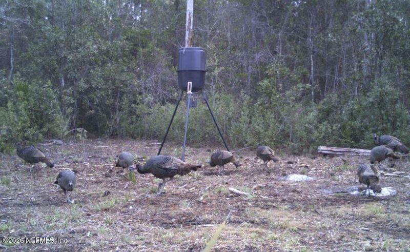 2411 Us Highway 301, Jacksonville, FL 32234 Photo