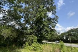 0 Parsons Road photo 4