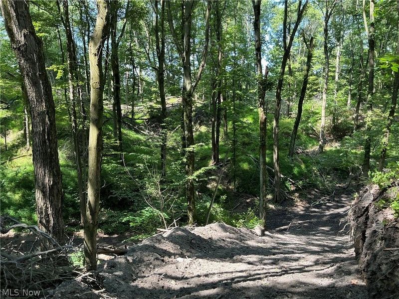 5326 Yackey Drive NW, Strasburg, OH 44680 Photo 14