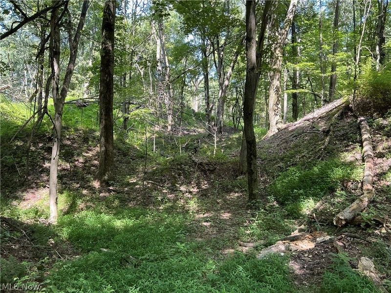 5326 Yackey Drive NW, Strasburg, OH 44680 Photo 19