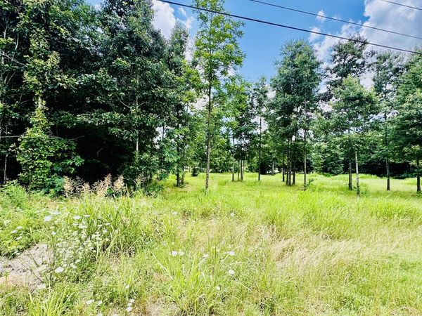 0 Pride Estates Rd, Tuscumbia, AL 35674