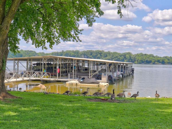 105 Tanasi Shr S, Gallatin, TN 37066