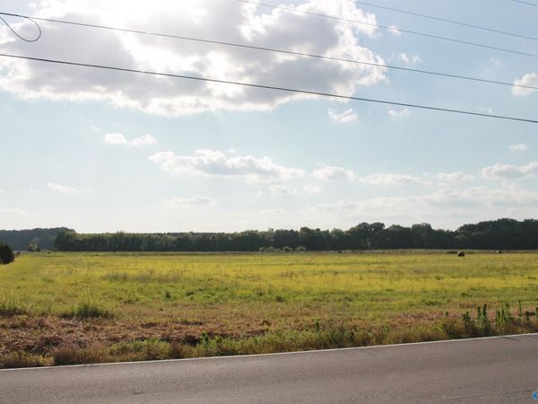 70 Acres Huckaby Bridge Road, Falkville, AL 35622
