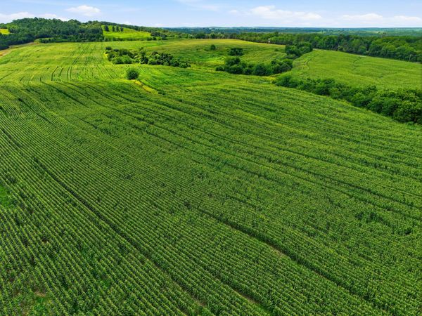 000 Gravel Point Road, Unit 2, Mountain Grove, MO 65711