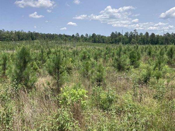 1405 BLOCK OF Beaudry Circle, Jessieville, AR 71949
