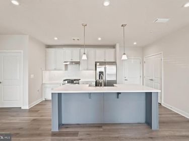 4399 PEACH LILY LANE , Unit 359, CHANTILLY, VA 20151
