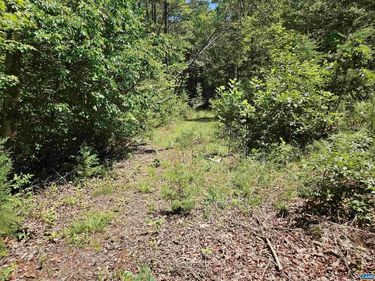 MANTEO RD , Unit 2, BUCKINGHAM, VA 23921