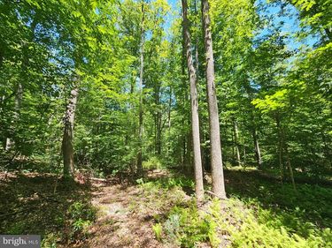 15 AC MANTEO ROAD , BUCKINGHAM, VA 23921