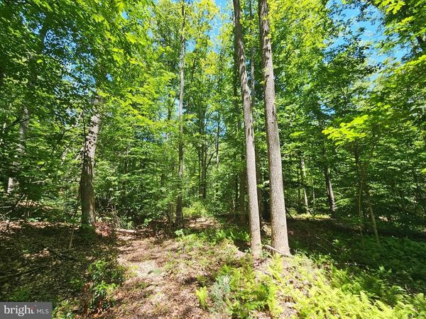 15 AC MANTEO ROAD, BUCKINGHAM, VA 23921