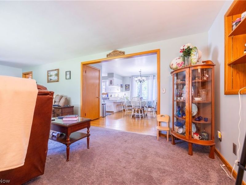 5069 Back Orrville Road, Wooster, OH 44691 Photo 11
