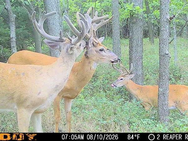 00000 Reaper Road, Waverly, KS 66871